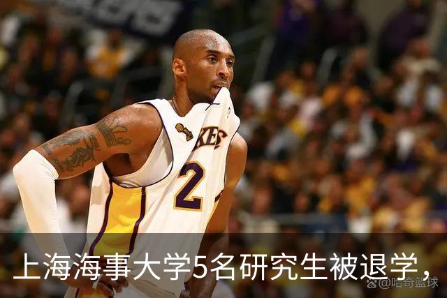 上海海事大学5名研究生被退学，原因揭晓，令不少家长感到无语